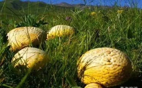 天空之城不再遥远 宝兰高铁开通与信息系统集成服务的紧密结合